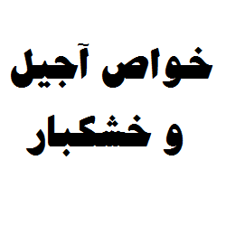 خواص عمومی آجیل و خشکبار