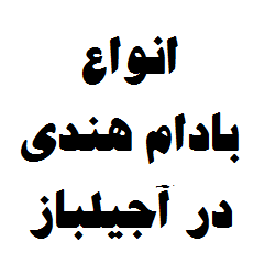 بادام هندی