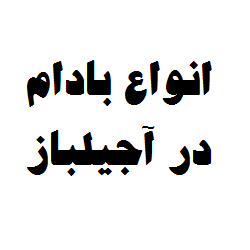 بادام