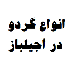 گردو