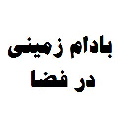 بادام زمینی در فضا