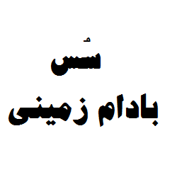 سس بادام زمینی