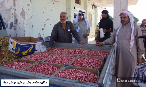 پسته در سوریه